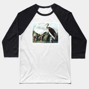 White Ibis from Birds of America (1827) Baseball T-Shirt